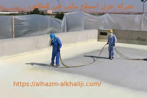 شركة عزل اسطح مائى فى الطائف 3