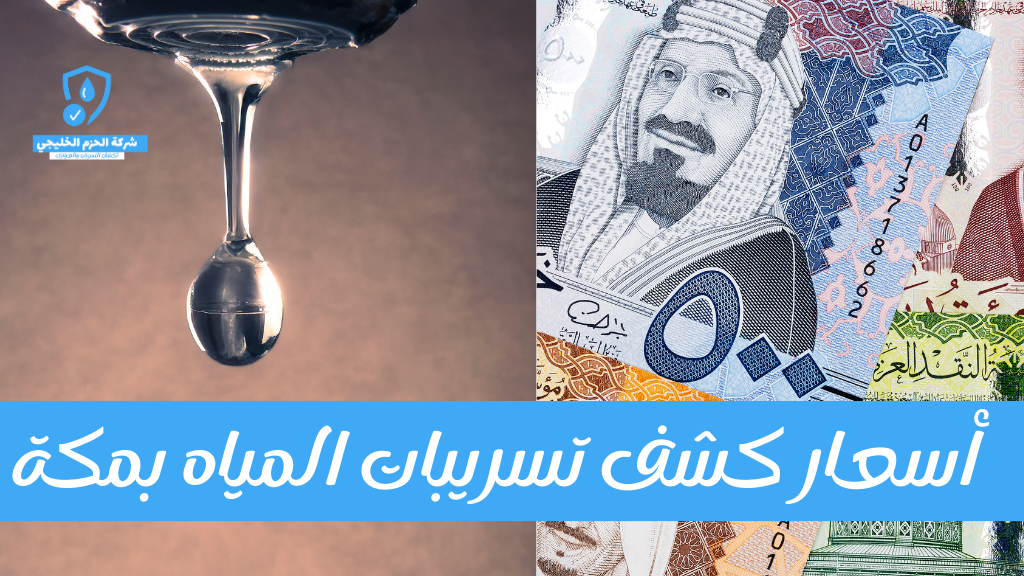 أسعار كشف تسريبات المياه بمكة