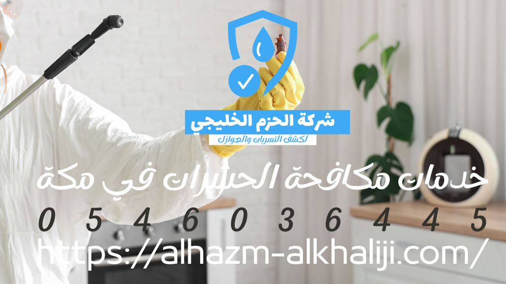 شركة مكافحة حشرات بمكة