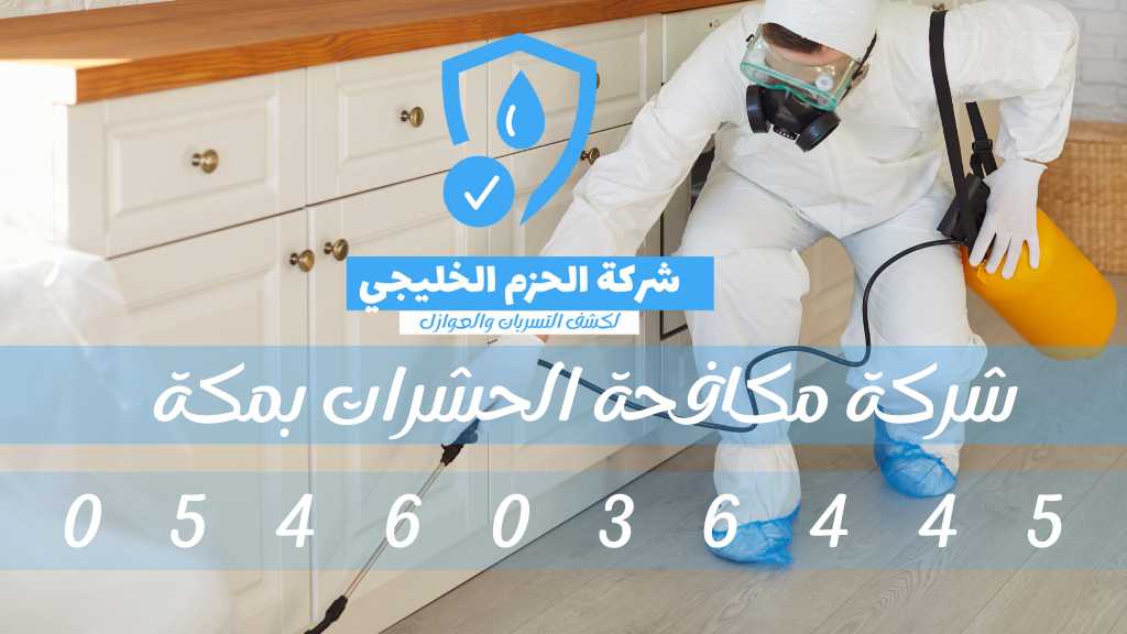 خدمات شركة مكافحة حشرات في مكة المكرمة من شركة الحزم الخليجي
