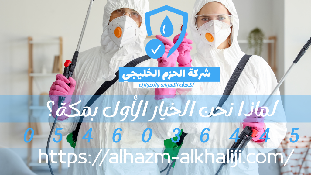 شركة مكافحة الحشرات بمكة